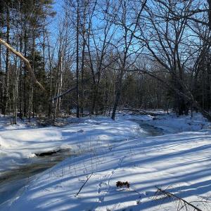 Naturalist Sarah Gladu will lead a winter walk on the town of Bremen’s Hilton O’Connor Trail on Feb. 10. Courtesy of Coastal Rivers