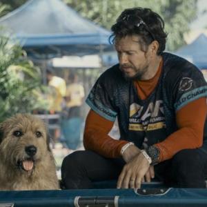 “Arthur the King” stars Mark Wahlberg and Ukai (as Arthur the dog). Opens Friday, April 19 at Harbor Theater. Courtesy of the venue