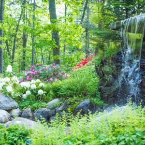 A waterfall and garden at Coastal Maine Botanical Gardens. Courtesy of CMBG