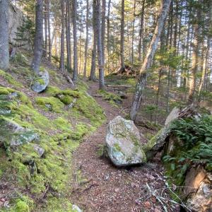 The trails at Tracy Shore in South Bristol feature dramatic rock outcroppings and views of Johns Cove on the Damariscotta River. Coastal Rivers is hosting a guided walk at Tracy Shore on May 4. Courtesy of Coastal Rivers