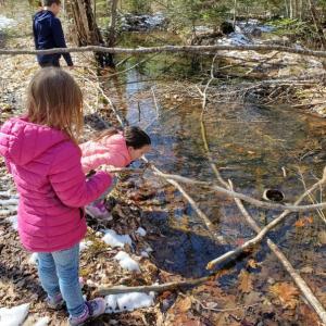 Exploring a vernal pool at Hidden Valley Nature Center. Courtesy of Midcoast Conservancy
