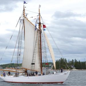 Bowdoin sails past Tumbler Island as it leaves Boothbay Harbor in 2023. FRITZ FREUDENBERGER/Boothbay Register