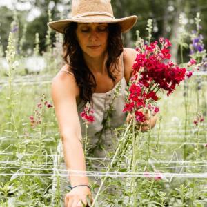 Dried floral designer Maria Salcines harvests and dries flowers from her gardens at Fogwood Gardens to create a floral sculpture during Wiscasset Art Walk on Thursday, Aug. 29. Melissa Keyser photo