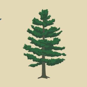 An alternative Maine state flag. Ballot question five asks if voters want to replace the current design with this version. Courtesy photo The alternative Maine state flag on the ballot for 2024.