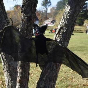 LISA KRISTOFF/Boothbay Register
