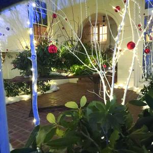 Nickels-Sortwell House Christmas solarium. Courtesy of Historic New England
