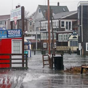 The tide came into local parking lots during the January storms. STEVE EDWARDS/Boothbay Register