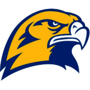 Seahawks logo