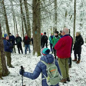 Guided hike. Chris Bennett photo