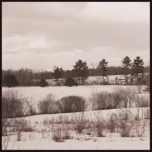 Goranson farm. Courtesy of Emily Whiting