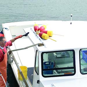 A lobsterman cleans the boat on return to the Wiscasset shore Sept. 7. SUSAN JOHNS/Wiscasset Newspaper 