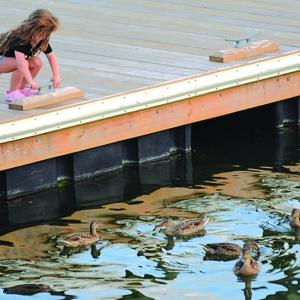 A young girl feeds some ducks from a footbridge float. KEVIN BURNHAM/Boothbay Register