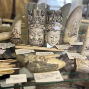 The scrimshaw case at East Boothbay Trading Co. (EBTC)