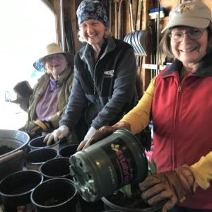 Gardeners 