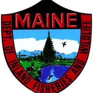 Maine Inland Fisheries and Wildlife patch