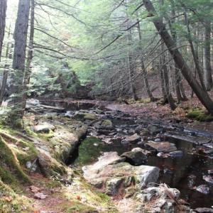 The new preserve includes over 1,600 feet of stream frontage along Deer Meadow Brook, which connects to the Sheepscot River via Marsh River. Courtesy of Coastal Rivers The new preserve includes over 1,600 feet of stream frontage along Deer Meadow Brook, which connects to the Sheepscot River via Marsh River. Courtesy of Coastal Rivers