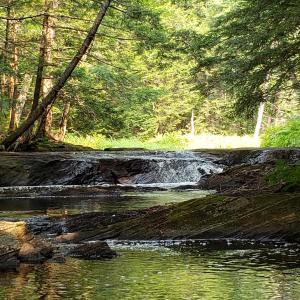 A stepped waterfall is among many interesting features of the new preserve. Courtesy of Coastal Rivers