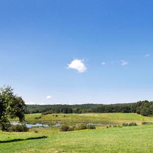 Salt Bay Farm. Courtesy of Coastal Rivers Conservation Trust