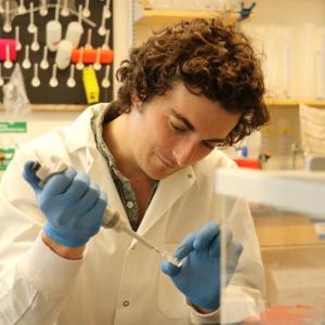 Lead author, Shane Farrell, examines algae samples in the lab. Farrell spent several months on a research visit with co-author Daniel Petras’s at the University of Tübingen in Germany. Courtesy Bigelow Laboratory for Ocean Sciences
