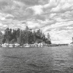 Late Afternoon, Seal Bay_by Susan Cooney