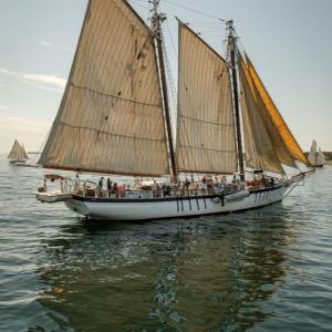 The Harvey Gamage under sail during Windjammer Days. File photo