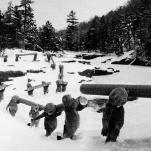 A scene from "Hundreds of Beavers."
