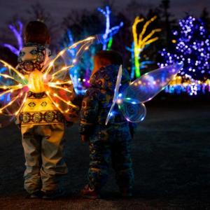 A scene from Coastal Maine Botanical Gardens' Gardens Aglow. Courtesy of CMBG A scene from Coastal Maine Botanical Gardens' Gardens Aglow. Courtesy of CMBG