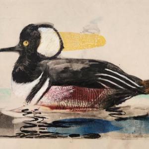 Jan Arabus, Maine artist