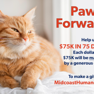 Courtesy of Midcoast Humane. 