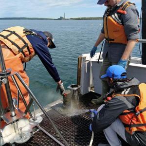 Sediment Sampling: The research team extracted a sediment core from below a commercial kelp farm aboard the Darling Marine Center’s research vessel Ira C in 2022. Samuel Tan photo 