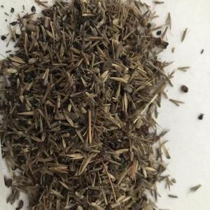 Butterfly and hummingbird garden seed mix. Courtesy photo