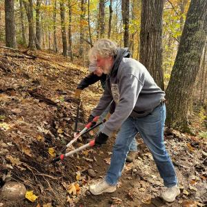 Two people cut roots in the forest