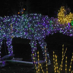 STEVE EDWARDS/Boothbay Register