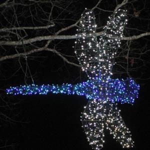 STEVE EDWARDS/Boothbay Register