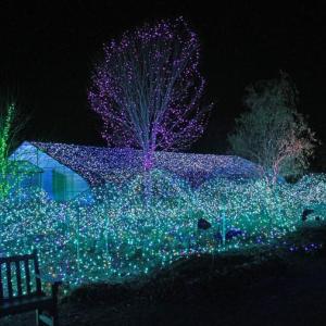 STEVE EDWARDS/Boothbay Register