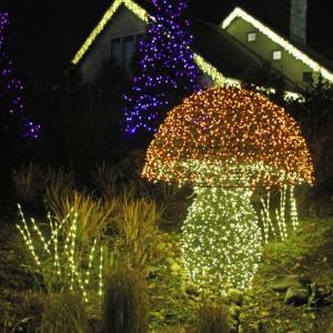 STEVE EDWARDS/Boothbay Register