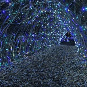 STEVE EDWARDS/Boothbay Register