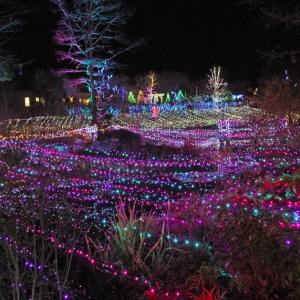 STEVE EDWARDS/Boothbay Register