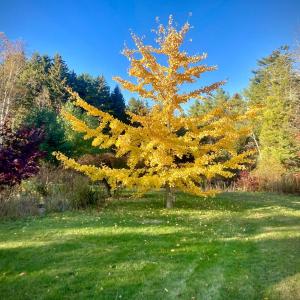 Photo by Robert Mitchell