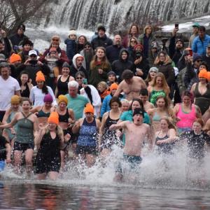Polar Plunge