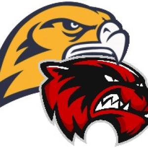 Seahawk and Wolverine logo