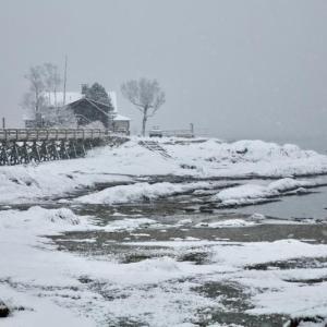 Photo by Robert Mitchell