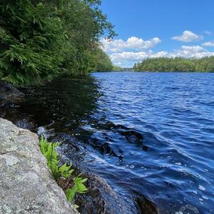 Coastal Rivers’ Muscongus Pond Preserve, a 34-acre property in Bremen generously donated by siblings Nancy and John Dean in 2025, offers access to the shoreline of Muscongus Pond in Bremen. Courtesy of Coastal Rivers