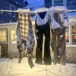 Photo by Robert Mitchell