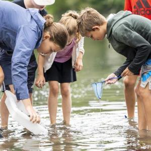 Camp Mummichog campers explore along the shore of Great Salt Bay. Courtesy of Coastal Rivers