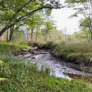 Coastal Rivers’ Salt Bay Farm in Damariscotta. Courtesy photo