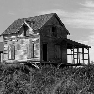 Photo by Robert Mitchell