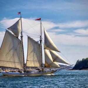 Schooner "Heritage" has attended Windjammer Days in the Boothbay Region for decades. Sean Sheppard photo