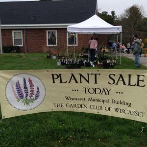 Plant sale 