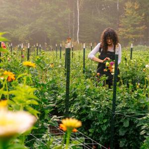 Picking flowers at Veggies to Table. Courtesy photo